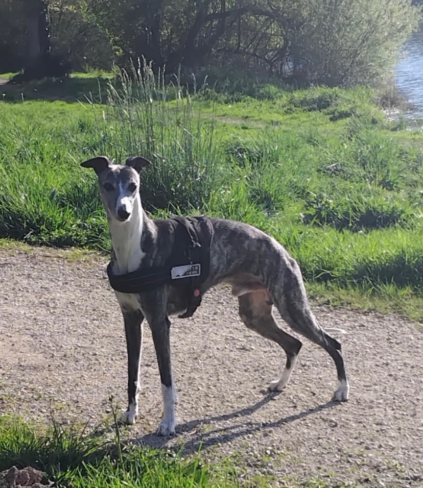 Nonabsolute not agree de l eden d isawan de l’eden d’isawan